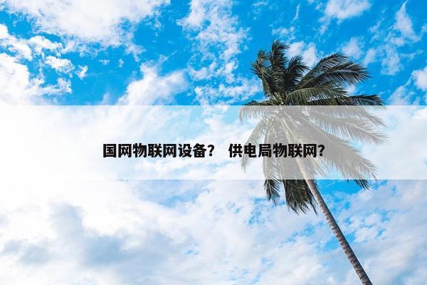 国网物联网设备？ 供电局物联网？