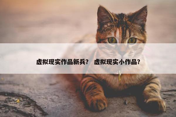 虚拟现实作品新兵？ 虚拟现实小作品？