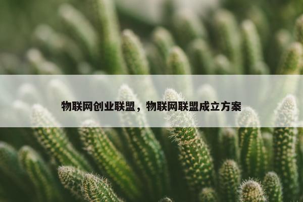 物联网创业联盟，物联网联盟成立方案