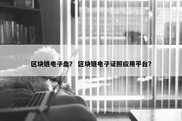区块链电子盘？ 区块链电子证照应用平台？