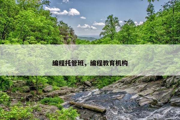 编程托管班，编程教育机构
