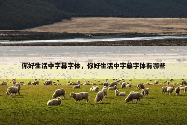 你好生活中字幕字体，你好生活中字幕字体有哪些