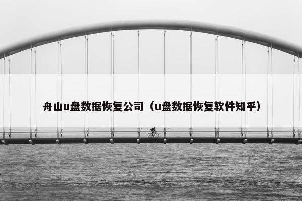 舟山u盘数据恢复公司（u盘数据恢复软件知乎）