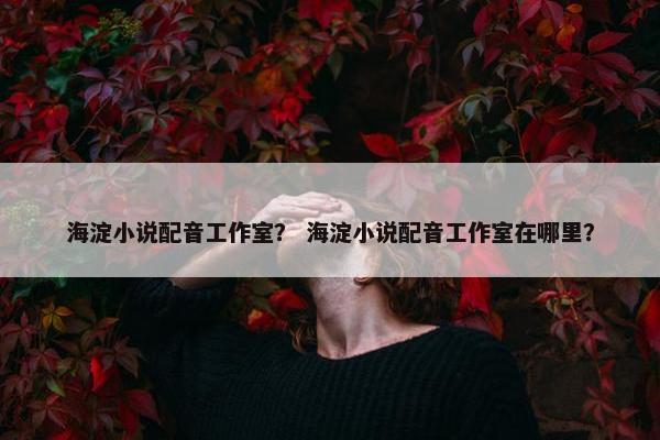 海淀小说配音工作室？ 海淀小说配音工作室在哪里？