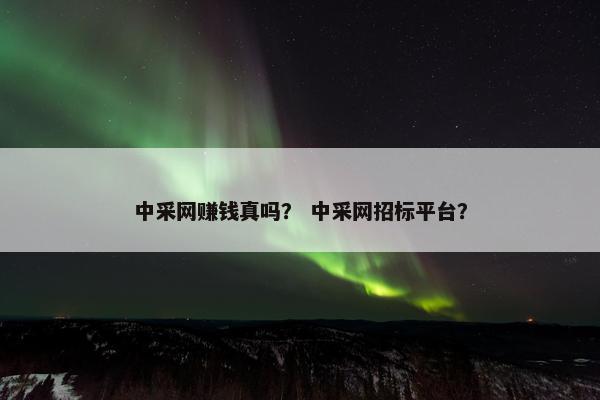 中采网赚钱真吗？ 中采网招标平台？