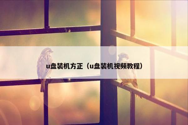 u盘装机方正（u盘装机视频教程）