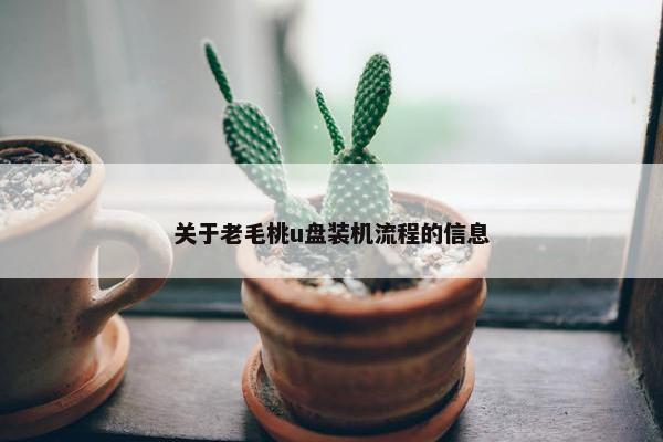 关于老毛桃u盘装机流程的信息