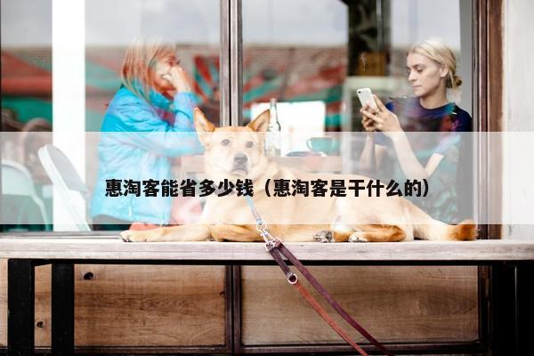 惠淘客能省多少钱（惠淘客是干什么的）