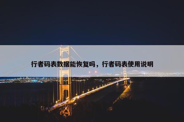 行者码表数据能恢复吗，行者码表使用说明