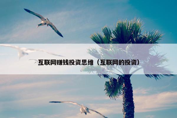 互联网赚钱投资思维（互联网的投资）