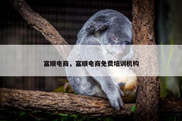 富顺电商，富顺电商免费培训机构