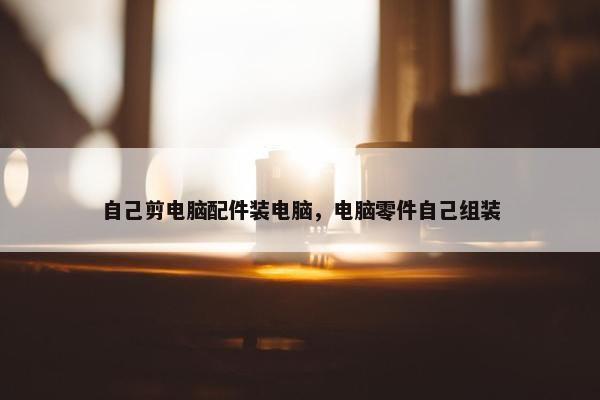 自己剪电脑配件装电脑，电脑零件自己组装