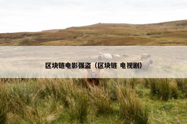 区块链电影强盗（区块链 电视剧）