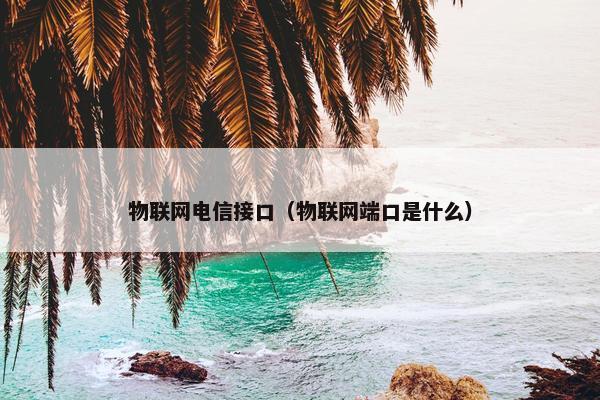 物联网电信接口（物联网端口是什么）