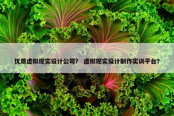 优质虚拟现实设计公司？ 虚拟现实设计制作实训平台？