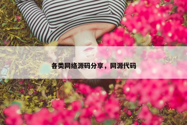 各类网络源码分享，网源代码