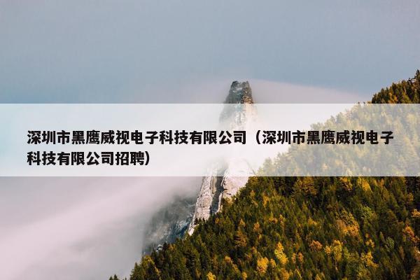 深圳市黑鹰威视电子科技有限公司（深圳市黑鹰威视电子科技有限公司招聘）