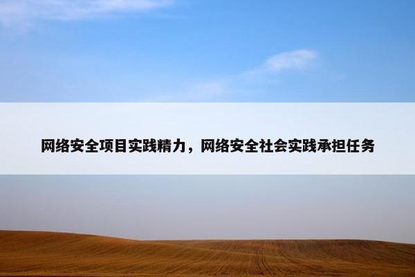 网络安全项目实践精力，网络安全社会实践承担任务