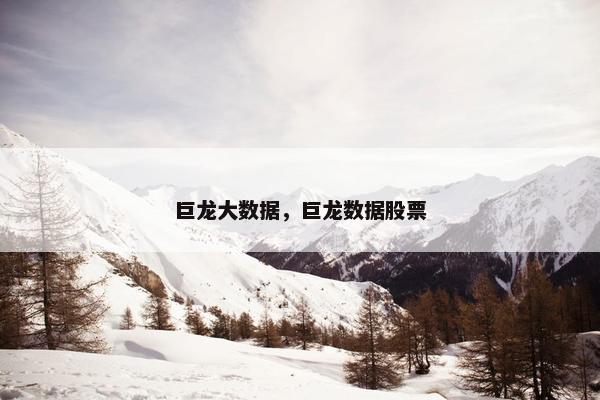 巨龙大数据，巨龙数据股票