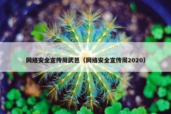 网络安全宣传周武邑（网络安全宣传周2020）