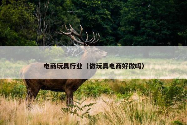 电商玩具行业（做玩具电商好做吗）