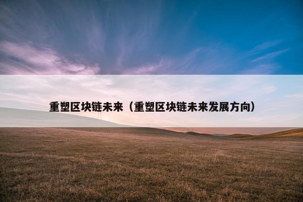 重塑区块链未来（重塑区块链未来发展方向）