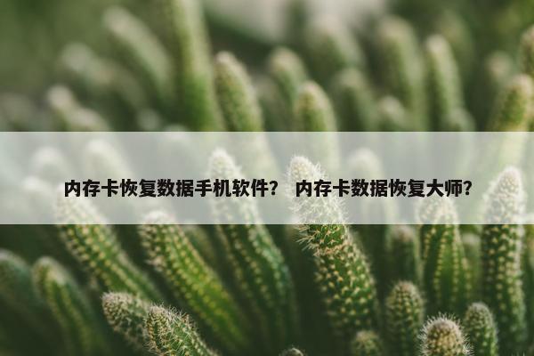 内存卡恢复数据手机软件？ 内存卡数据恢复大师？