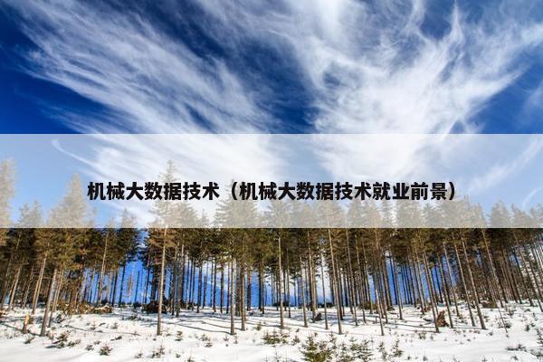 机械大数据技术（机械大数据技术就业前景）