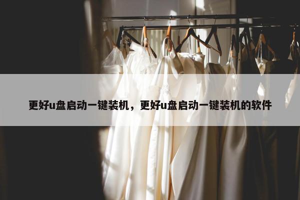 更好u盘启动一键装机，更好u盘启动一键装机的软件