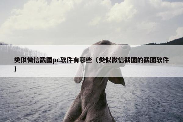 类似微信截图pc软件有哪些（类似微信截图的截图软件）