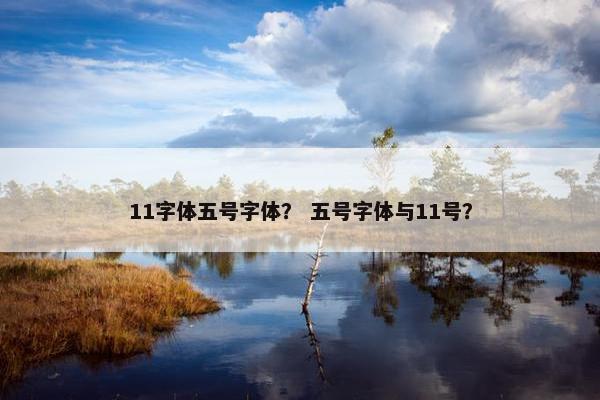 11字体五号字体？ 五号字体与11号？