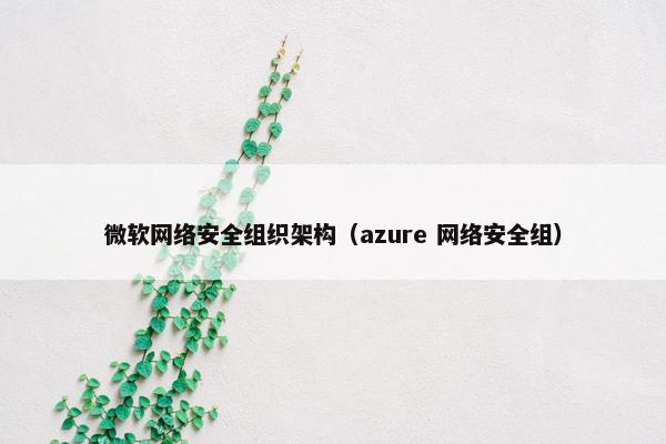 微软网络安全组织架构（azure 网络安全组）