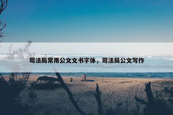 司法局常用公文文书字体，司法局公文写作
