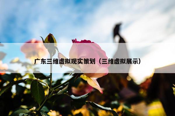 广东三维虚拟现实策划（三维虚拟展示）