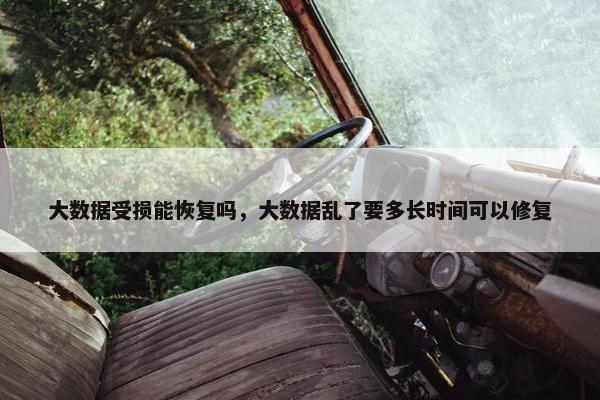 大数据受损能恢复吗，大数据乱了要多长时间可以修复