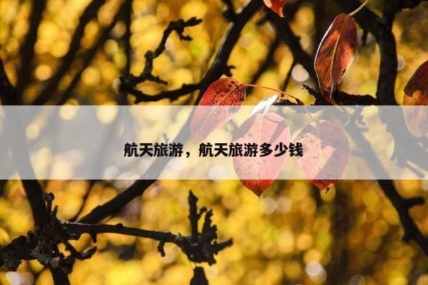 航天旅游，航天旅游多少钱