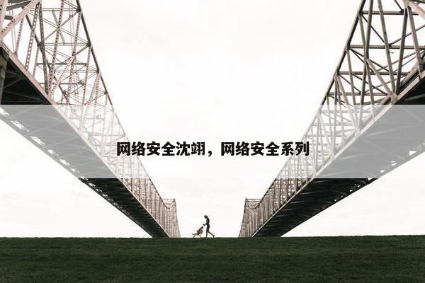 网络安全沈翊，网络安全系列