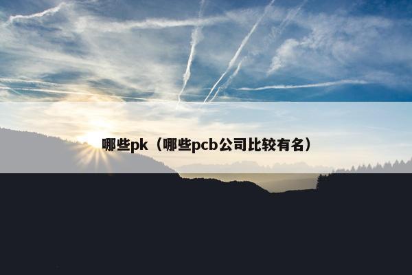哪些pk（哪些pcb公司比较有名）
