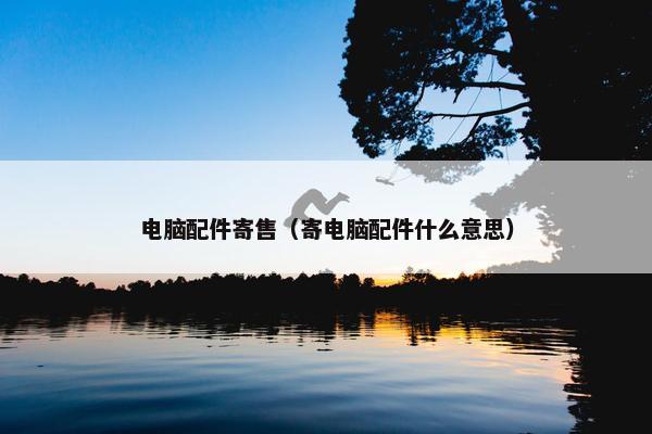 电脑配件寄售（寄电脑配件什么意思）