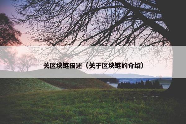 关区块链描述（关于区块链的介绍）