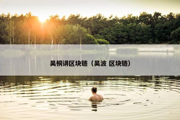 吴桐讲区块链（吴波 区块链）