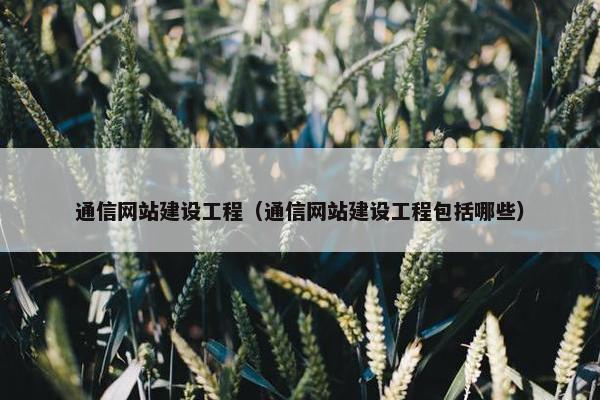 通信网站建设工程（通信网站建设工程包括哪些）