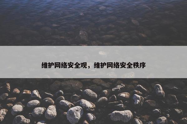 维护网络安全观，维护网络安全秩序