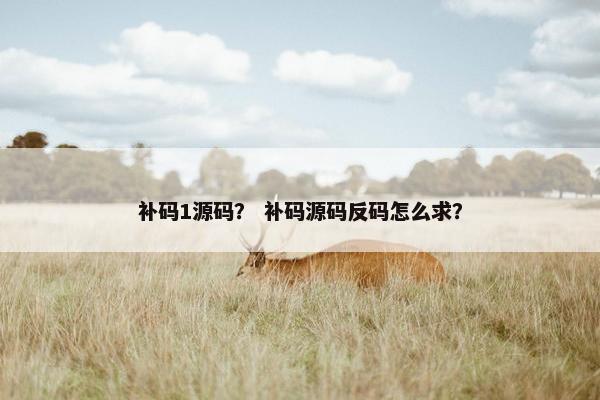 补码1源码？ 补码源码反码怎么求？