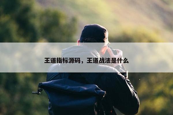 王道指标源码，王道战法是什么