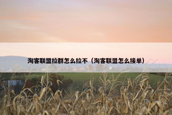淘客联盟拉群怎么拉不（淘客联盟怎么接单）