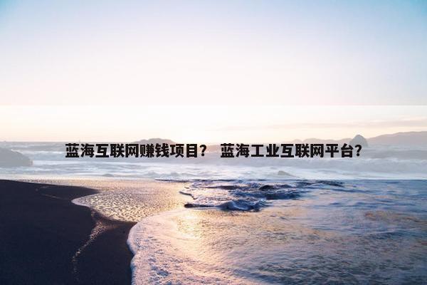 蓝海互联网赚钱项目？ 蓝海工业互联网平台？