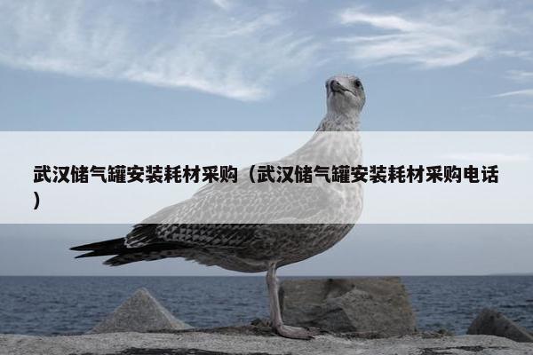 武汉储气罐安装耗材采购（武汉储气罐安装耗材采购电话）