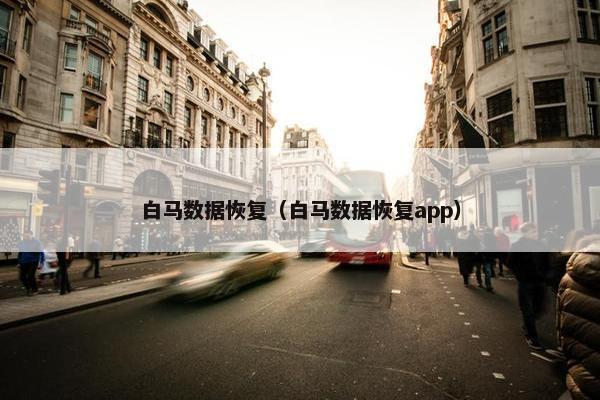 白马数据恢复（白马数据恢复app）
