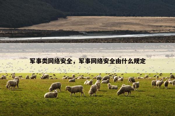 军事类网络安全，军事网络安全由什么规定